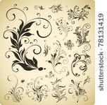ornament elements collection ...