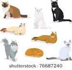 cartoon cats