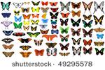 big vector collection of...
