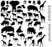 set of tropical animals