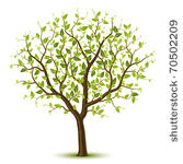 tree with green leafage. vector.