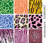 vector colorful animal skin...