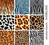 vector animal skin textures of...
