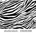 zebra skin vector  seamless