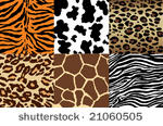 animal print backgrounds