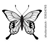 vector illustration of detailed ...