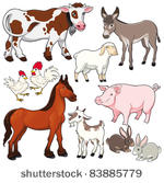 farm animals. vector and...