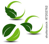 vector natural symbols with leaf