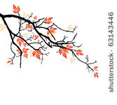 autumnal branch
