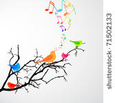 singing bird
