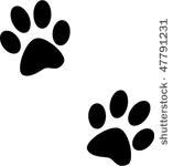 paw prints