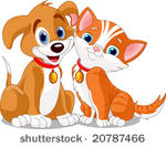dog   cat's friendship