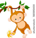 cute baby monkey on a tree...