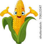 illustration of a sweet corn...