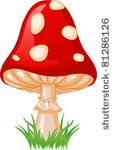 illustration of mushroom...