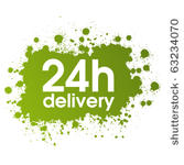 24h delivery grunge green