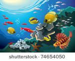underwater world  coral reefs...