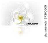 eps10 vector elegant flower...