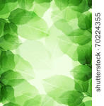 summer or spring vector...