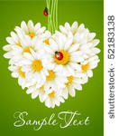 floral love card  camomile...
