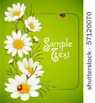 camomile frame