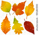 vector autumn leaves and...