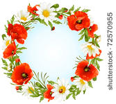 vector camomile and poppy frame ...