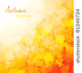 autumnal leaf of maple and...