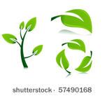 leaf illustrations