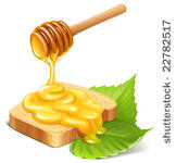vector honey