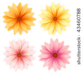 vector  daisy flowers set ...