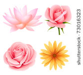 vector flowers set of rose ...