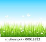 vector illustration grassy...