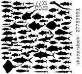 66 pieces of detailed vectoral...