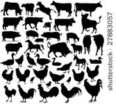 43 pieces of detailed vectoral...