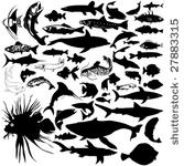 46 pieces of detailed vectoral...