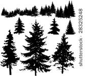 detailed vectoral pine tree...