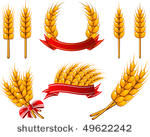 vector collection of design...