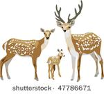 vector illustration of sika...