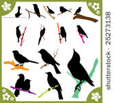 bird silhouettes part1 of 2...