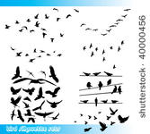 birds silhouette sets