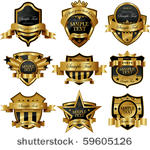 decorative ornate gold frame...