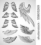 set of wings