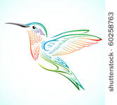 colorful hummingbird