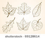 set oaf leaf sketch