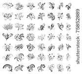 set of floral design elements....