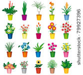 a set of colorful pots of...