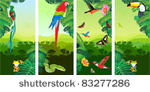 set of jungle banners with frog ...
