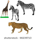set of vector african animals   ...