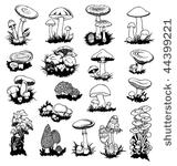 mushrooms